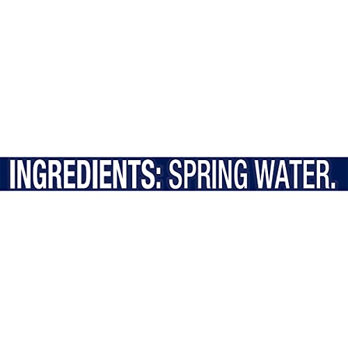 Poland Spring Maine Spring Water Bottles, 24 Pack – Crisp, Still Bottled Water with Naturally Balanced Occurring Minerals &amp; Electrolytes for Taste - 16.9 Fl Oz