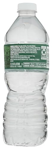 Poland Spring Maine Spring Water Bottles, 24 Pack – Crisp, Still Bottled Water with Naturally Balanced Occurring Minerals &amp; Electrolytes for Taste - 16.9 Fl Oz