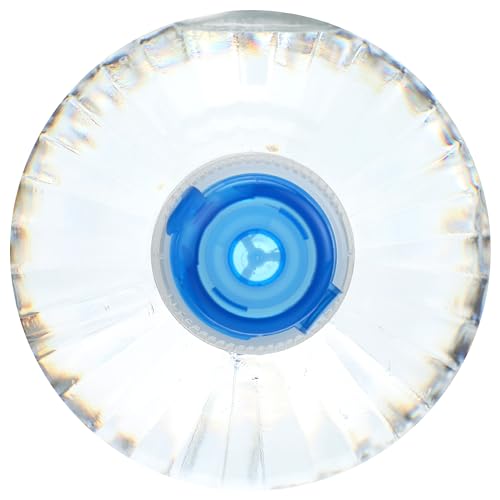 Poland Spring Maine Spring Water Bottles, 24 Pack – Crisp, Still Bottled Water with Naturally Balanced Occurring Minerals &amp; Electrolytes for Taste - 16.9 Fl Oz