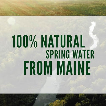 Poland Spring Maine Spring Water Bottles, 24 Pack – Crisp, Still Bottled Water with Naturally Balanced Occurring Minerals &amp; Electrolytes for Taste - 16.9 Fl Oz