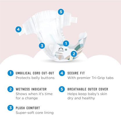 Amazon Brand - Mama Bear Plush Protection Diapers - Size 5, 31 Count, Hypoallergenic Premium Disposable Baby Diapers, White and Cloud Dreams