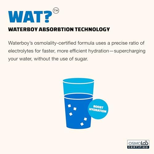Waterboy Daily Hydration | 1,570mg Electrolyte Powder Packets | No Sugar, All Natural, Gluten Free, Zero Calories | 15 Drink Stick Mixes (Blue Raspberry)