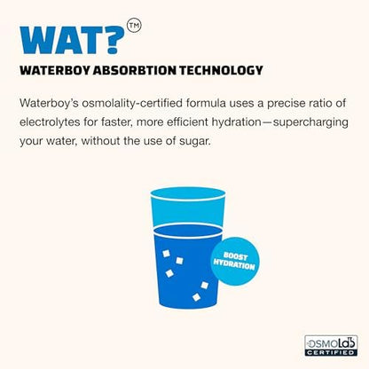 Waterboy Daily Hydration | 1,570mg Electrolyte Powder Packets | No Sugar, All Natural, Gluten Free, Zero Calories | 15 Drink Stick Mixes (Watermelon)