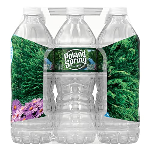 Poland Spring Maine Spring Water Bottles, 24 Pack – Crisp, Still Bottled Water with Naturally Balanced Occurring Minerals &amp; Electrolytes for Taste - 16.9 Fl Oz