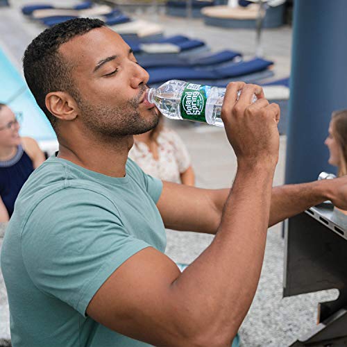 Poland Spring Maine Spring Water Bottles, 24 Pack – Crisp, Still Bottled Water with Naturally Balanced Occurring Minerals &amp; Electrolytes for Taste - 16.9 Fl Oz
