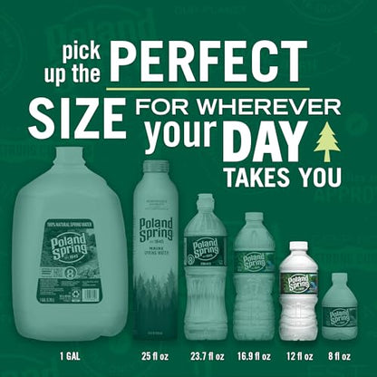 Poland Spring Maine Spring Water Bottles, 24 Pack – Crisp, Still Bottled Water with Naturally Balanced Occurring Minerals &amp; Electrolytes for Taste - 16.9 Fl Oz