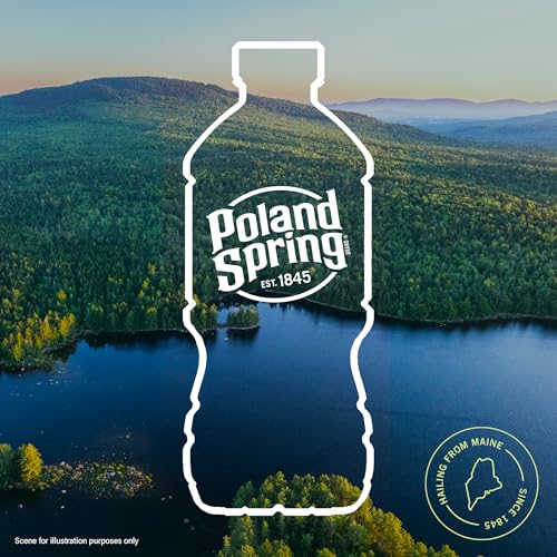 Poland Spring Maine Spring Water Bottles, 24 Pack – Crisp, Still Bottled Water with Naturally Balanced Occurring Minerals &amp; Electrolytes for Taste - 16.9 Fl Oz