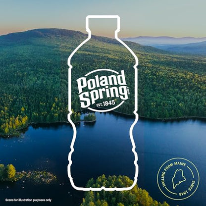 Poland Spring Maine Spring Water Bottles, 24 Pack – Crisp, Still Bottled Water with Naturally Balanced Occurring Minerals &amp; Electrolytes for Taste - 16.9 Fl Oz