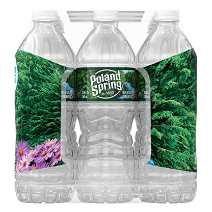 Poland Spring Maine Spring Water Bottles, 24 Pack – Crisp, Still Bottled Water with Naturally Balanced Occurring Minerals &amp; Electrolytes for Taste - 16.9 Fl Oz