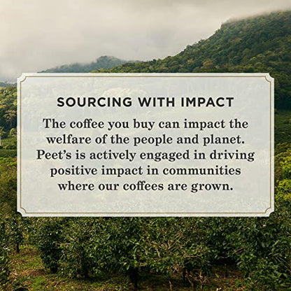 Peet's Coffee, Dark Roast Single Serve Coffee Pods - Major Dickason's Blend 75 Count (1 Box of 75 Pods)