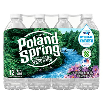 Poland Spring Maine Spring Water Bottles, 24 Pack – Crisp, Still Bottled Water with Naturally Balanced Occurring Minerals &amp; Electrolytes for Taste - 16.9 Fl Oz