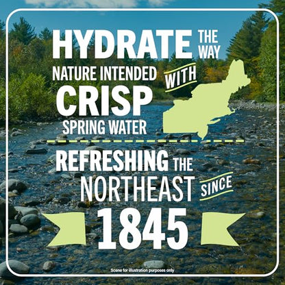 Poland Spring Maine Spring Water Bottles, 24 Pack – Crisp, Still Bottled Water with Naturally Balanced Occurring Minerals &amp; Electrolytes for Taste - 16.9 Fl Oz