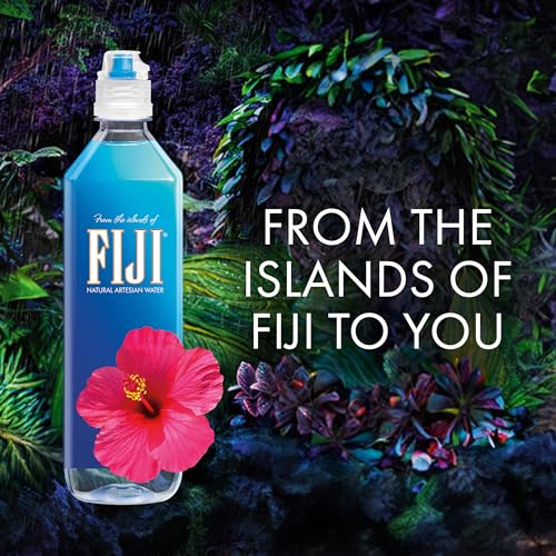FIJI Natural Artesian Bottled Water 1 Liter / 33.8 Fl Ounce (Pack of 12) - 100% Natural Electrolytes