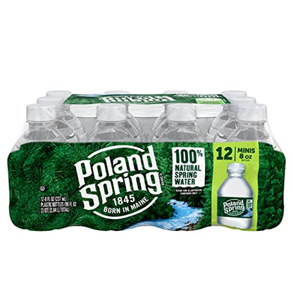 Poland Spring Maine Spring Water Bottles, 24 Pack – Crisp, Still Bottled Water with Naturally Balanced Occurring Minerals &amp; Electrolytes for Taste - 16.9 Fl Oz