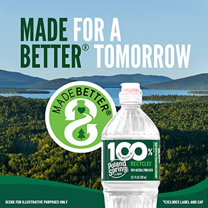 Poland Spring Maine Spring Water Bottles, 24 Pack – Crisp, Still Bottled Water with Naturally Balanced Occurring Minerals &amp; Electrolytes for Taste - 16.9 Fl Oz