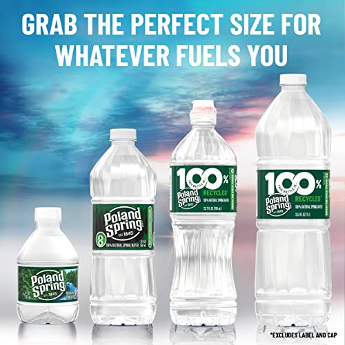 Poland Spring Maine Spring Water Bottles, 24 Pack – Crisp, Still Bottled Water with Naturally Balanced Occurring Minerals &amp; Electrolytes for Taste - 16.9 Fl Oz
