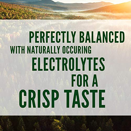 Poland Spring Maine Spring Water Bottles, 24 Pack – Crisp, Still Bottled Water with Naturally Balanced Occurring Minerals &amp; Electrolytes for Taste - 16.9 Fl Oz