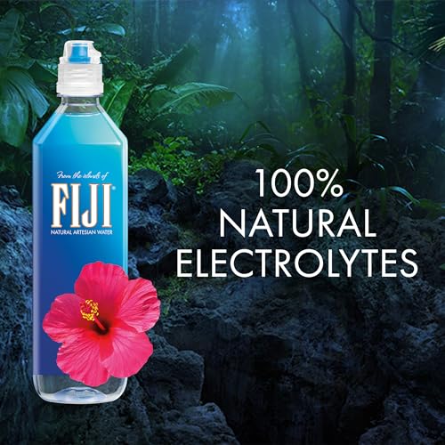 FIJI Natural Artesian Bottled Water 1 Liter / 33.8 Fl Ounce (Pack of 12) - 100% Natural Electrolytes