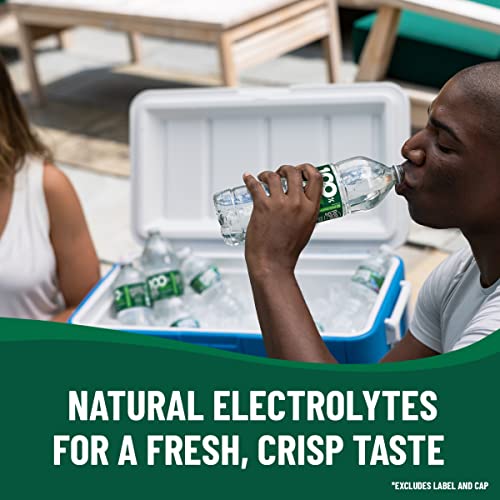 Poland Spring Maine Spring Water Bottles, 24 Pack – Crisp, Still Bottled Water with Naturally Balanced Occurring Minerals &amp; Electrolytes for Taste - 16.9 Fl Oz