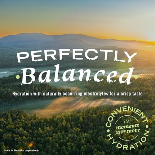 Poland Spring Maine Spring Water Bottles, 24 Pack – Crisp, Still Bottled Water with Naturally Balanced Occurring Minerals &amp; Electrolytes for Taste - 16.9 Fl Oz