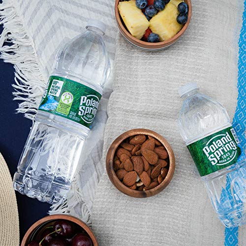 Poland Spring Maine Spring Water Bottles, 24 Pack – Crisp, Still Bottled Water with Naturally Balanced Occurring Minerals &amp; Electrolytes for Taste - 16.9 Fl Oz